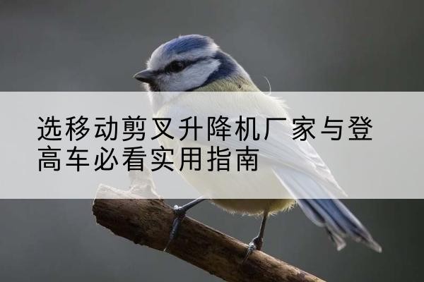 黄州电动升降机厂家-选移动剪叉升降机厂家与登高车必看实用指南