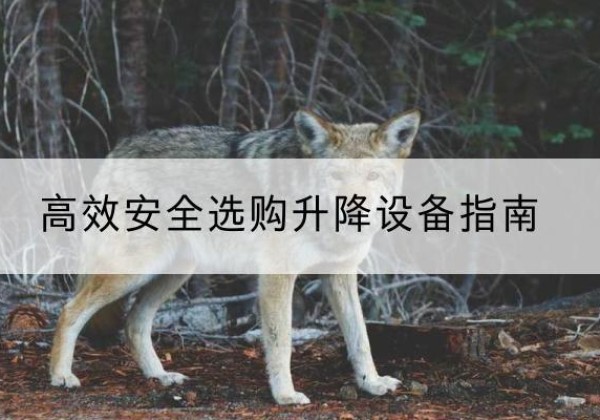 黄州升降货梯厂家推荐-*安全选购升降设备指南
