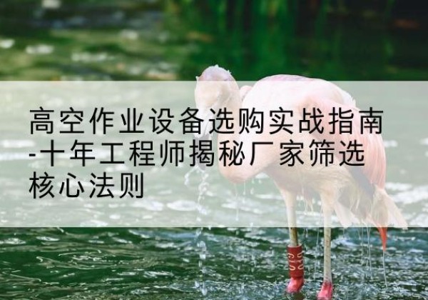 黄州剪叉式升降机厂家-高空作业设备选购实战指南-十年工程师揭秘厂家筛选核心法则